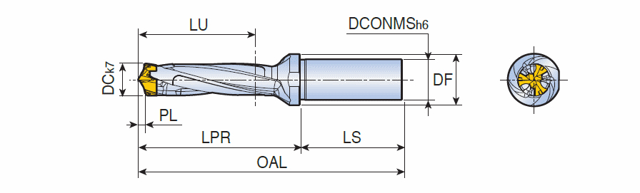 3ED 220-229-25T0-3D